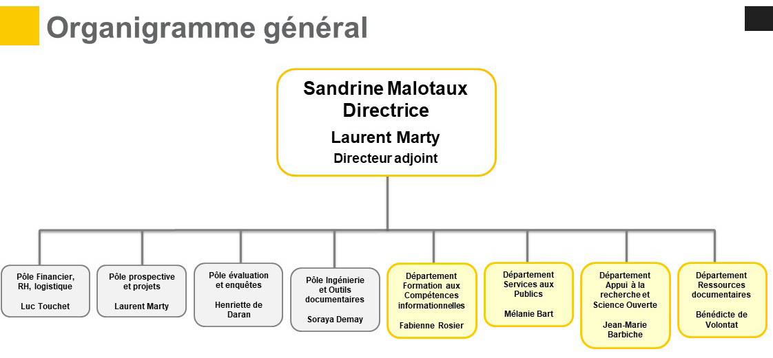 Organigramme général des bibliothèques de l'Université de Toulouse