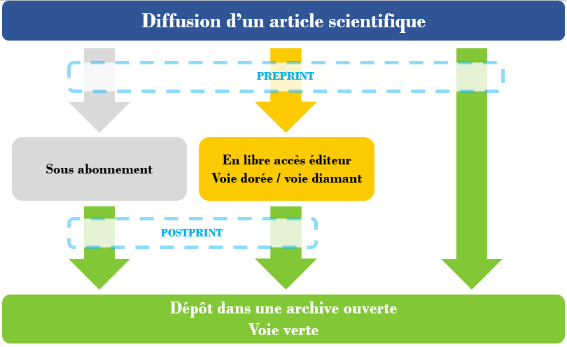 Schéma voie verte voie dorée