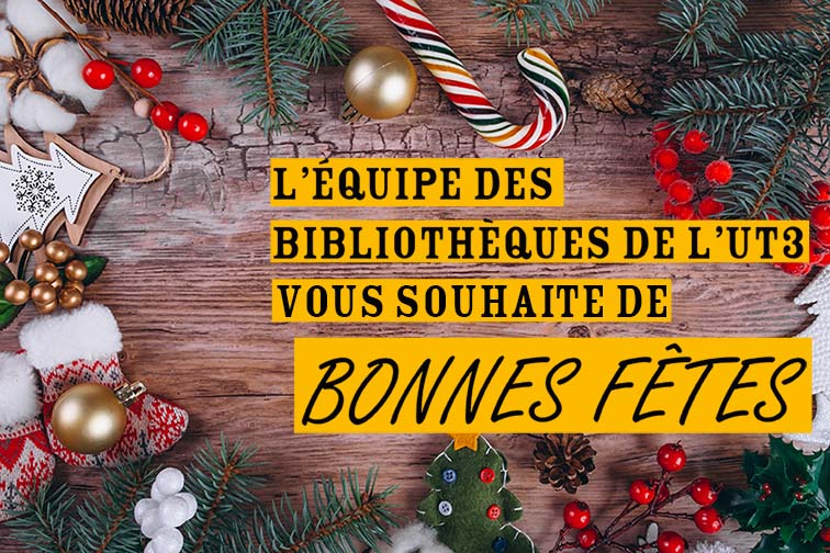 Christmas Sac pour sapin artificiel Rubrique(Manutention)